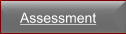 Assessment